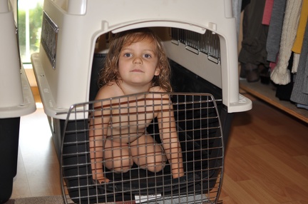 Greta in the dog cage1